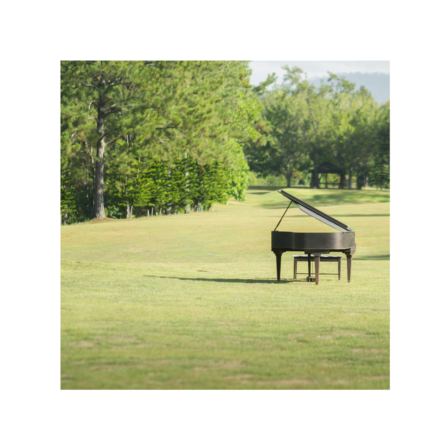 Piano im Park 2025